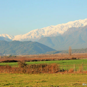 Oportunidad Agrícola de Primera Clase: Propiedad de 195 Hectáreas con Diversificación de Cultivos y Moderna Infraestructura en Santiago, Chile