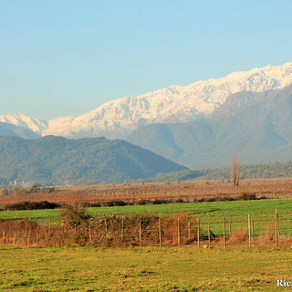 Oportunidad Agrícola de Primera Clase: Propiedad de 195 Hectáreas con Diversificación de Cultivos y Moderna Infraestructura en Santiago, Chile