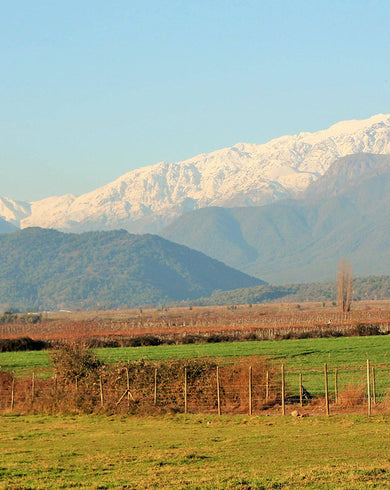 Oportunidad Agrícola de Primera Clase: Propiedad de 195 Hectáreas con Diversificación de Cultivos y Moderna Infraestructura en Santiago, Chile