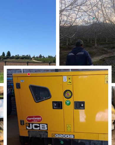 Descripción de los Campos de Nogales en Pencahue, Zona Las Tizas, VII Región