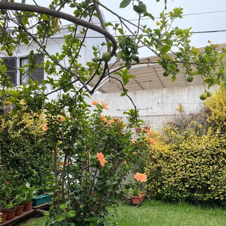 Casa A La Venta, Cerro Castillo Viña Del Mar