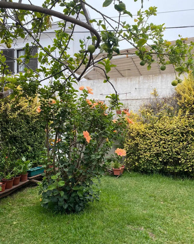 Casa A La Venta, Cerro Castillo Viña Del Mar