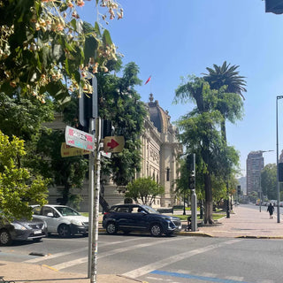 Departamento A La Venta, Bellas Artes