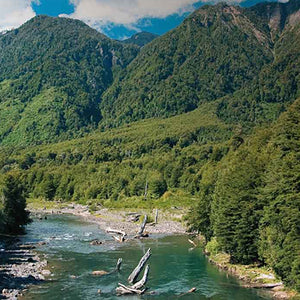 Oportunidad de Conservación en Río Bueno: Terreno de 677 Hectáreas