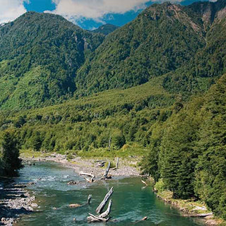 Oportunidad de Conservación en Río Bueno: Terreno de 677 Hectáreas